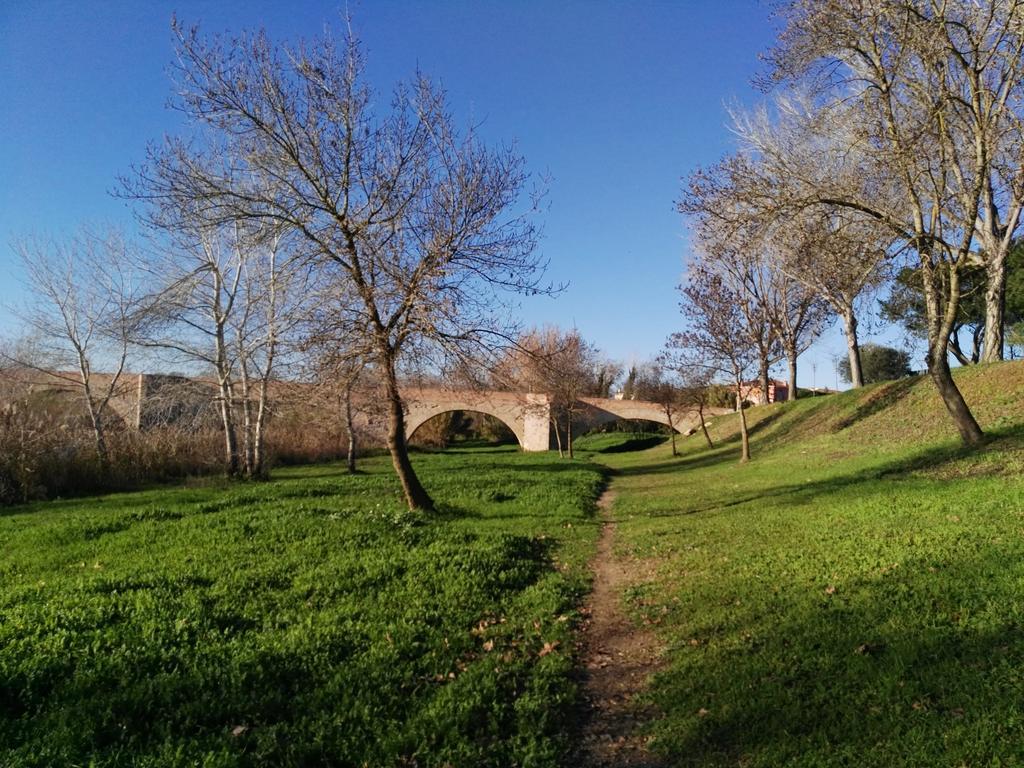 Newly Renovated Large Villa With Garden Castello  D'Empuries Extérieur photo